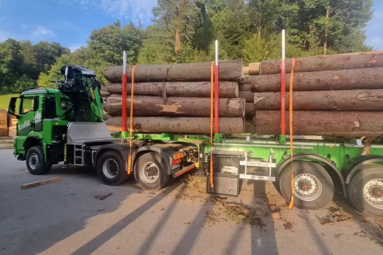 Kroflič-Lkw mit geladenem Rundholz