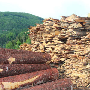 Smrekovi krajniki