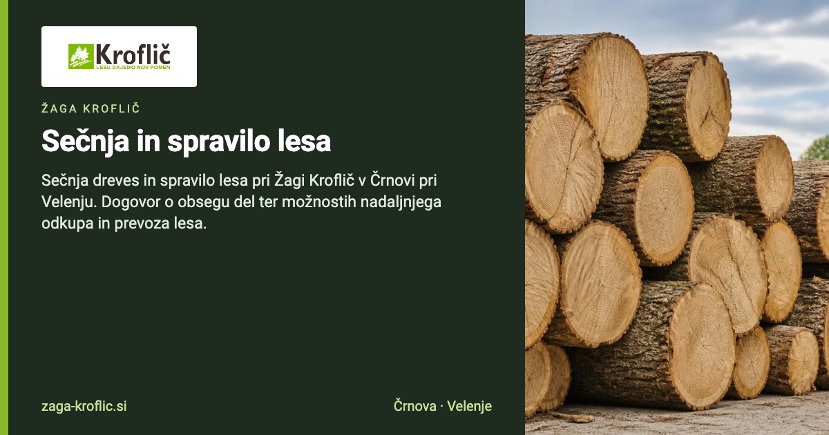 Sečnja in spravilo lesa | Žaga Kroflič