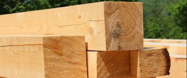   žaganje lesa - razreza hlodovine različnih dimenzij 